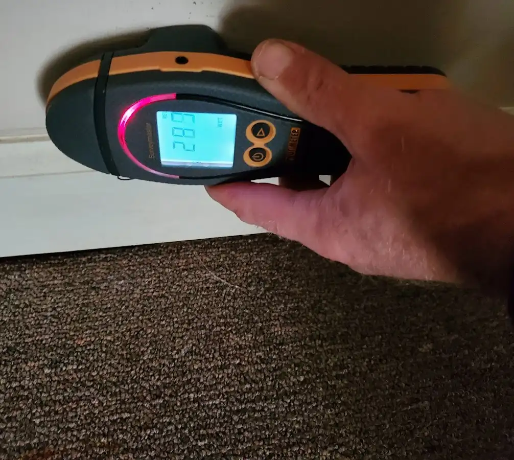 Moisture detection at baseboard during Sewage Cleanup & Sanitation in Huntingdon